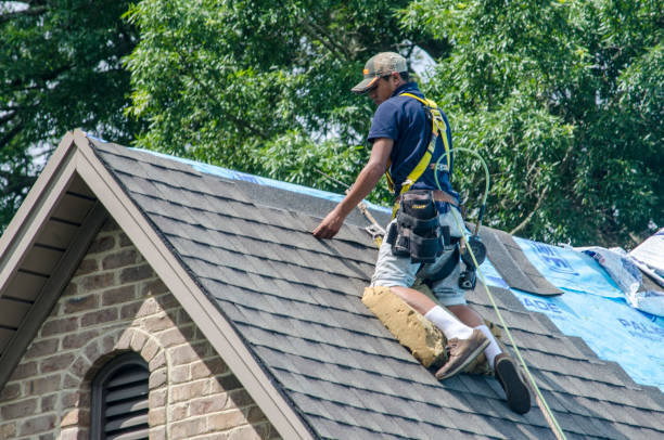 Trusted Chadbourn, NC Roofing Contractor Experts